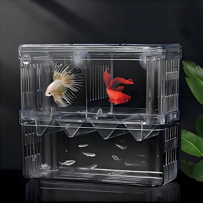 Aquarium Fish Breeder Box Hatchery Incubator,Multi-Functional Acrylic Breeder Isolation Box Hatching Incubator Box for Fish Fry Shrimp Little Turtle Betta Fish
