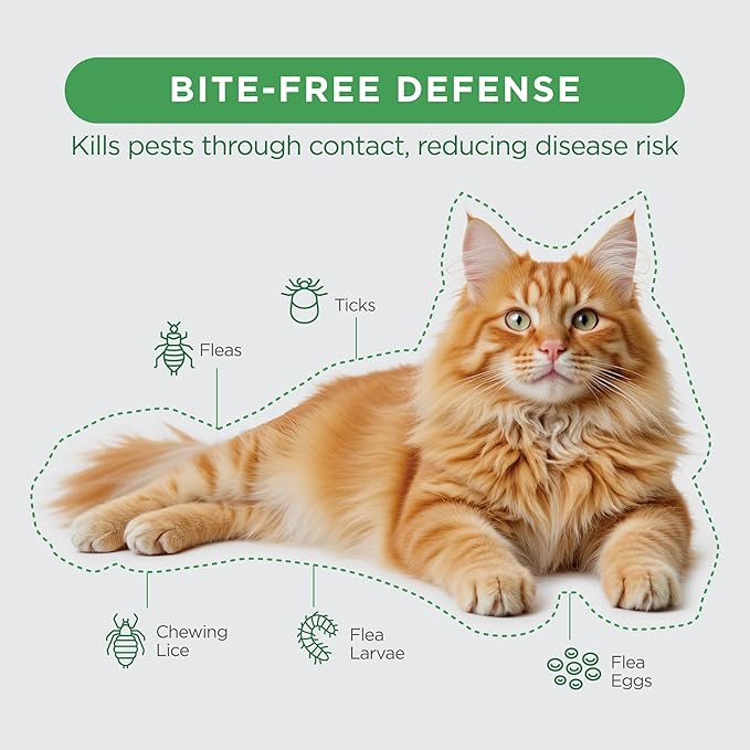 TevraPet FirstAct Plus Flea and Tick Prevention for Cats Over 1.5lbs, 6 Monthly Doses, Topical Drops