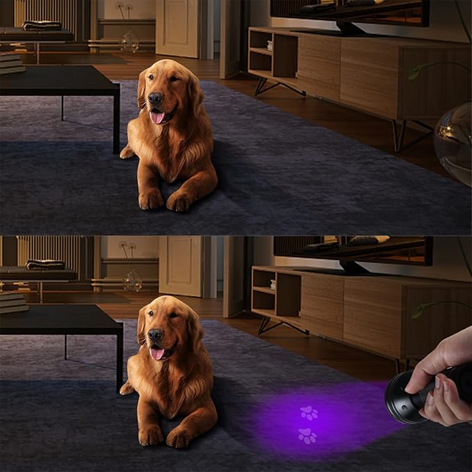 UV Flashlight Black Light, 51 LED UV Light Handheld Blacklight, Pet Urine Detectors 395nm Detector for Pet Urine, Dog/Cat Urine Stains, Bed Bug and Scorpions（Battery Not Included）