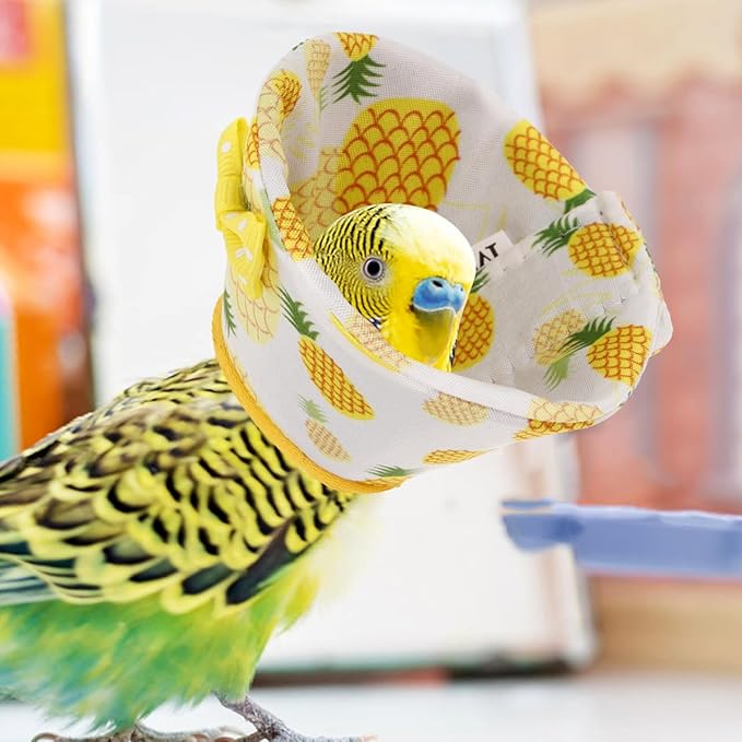 SUPVOX Parrot Collar Anti-Biting Bird Cone Collar for Plucking Protection Lightweight Comfortable Recovery Ring 6.69X3.54In