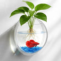 iplusmile Wall Mounted Planter 6.7 Inch, Clear Acrylic Hanging Bubble Vase for Plant Propagation Air Plants, Shatterproof Round Terrarium Bowl for Home Office Decor