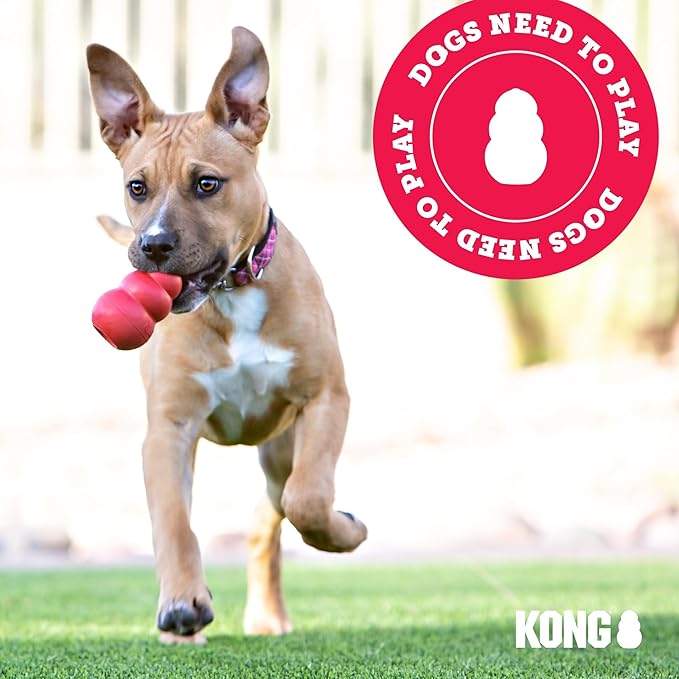 KONG Classic Stuffable Dog Toy - Fetch & Chew Toy for Dogs - Treat-Filling Capabilities & Erratic Bounce for Extended Play Time - Durable Natural Rubber Material - for Small Dogs (Pack of 2)