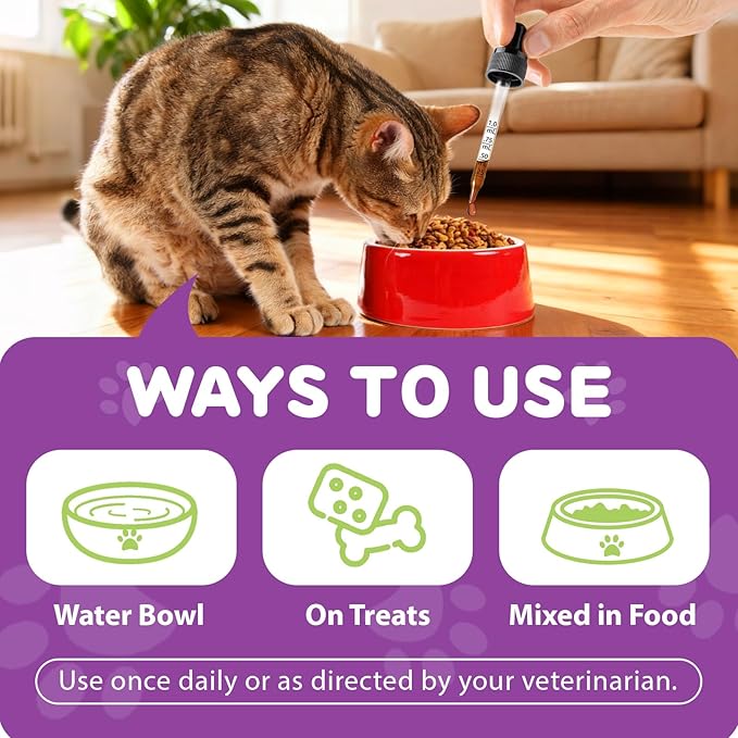 L-Lysine Drops for Cats, Lysine Supplement for Cats, Support Immune System, Respiratory Health & Eyes Function, Skin & Coat Health, Pets Health Supplies Cat Multivitamins, Chicken Flavor - 2 fl.oz