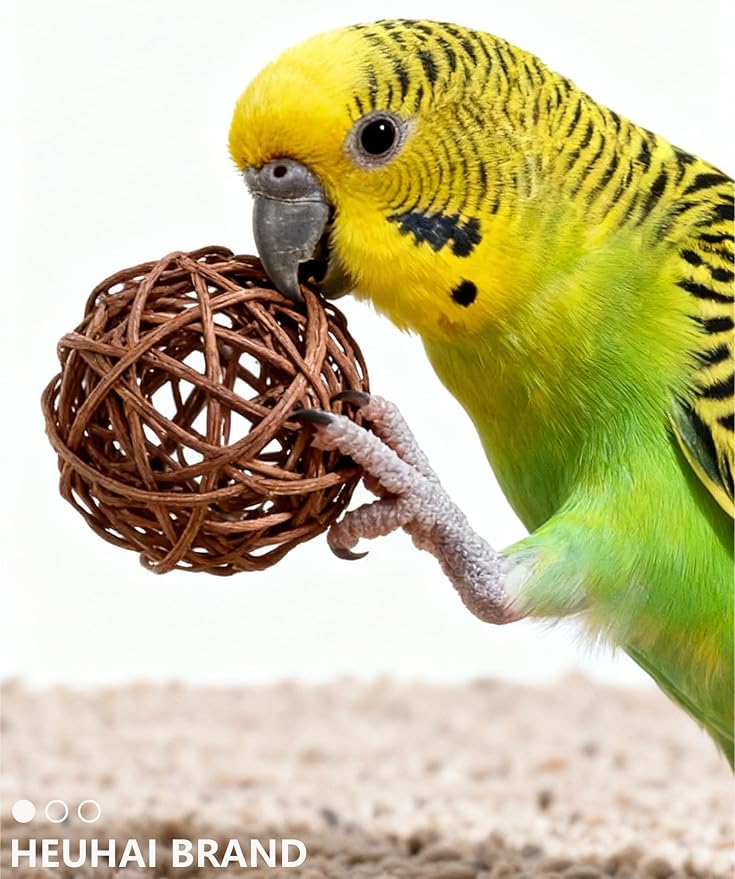 5-Pack Bird Toys for Parrots, Canaries - Colorful, Safe & Fun to Play, Gleeful Chirps (1.5'' - 2.8'')