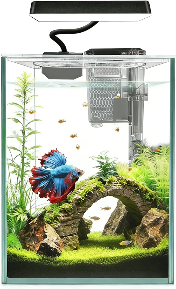 Ultra White Glass Betta Aquarium Starter Kits 1.5 Gallon Small Fish Tank, Betta Fish Tank with LED Light, Power Filter, 4mm Glass