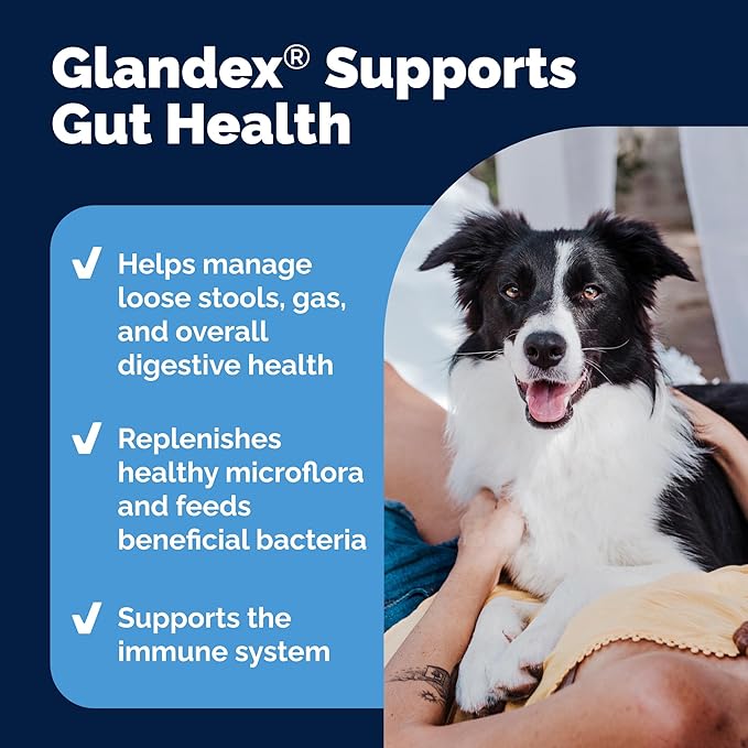 Vetnique Glandex Daily Probiotics for Dogs with Prebiotics to Support Gut Health with Fiber and Digestive Enzymes, Dog Probiotic Chews or Powders (120ct Chews, Bacon Chews)