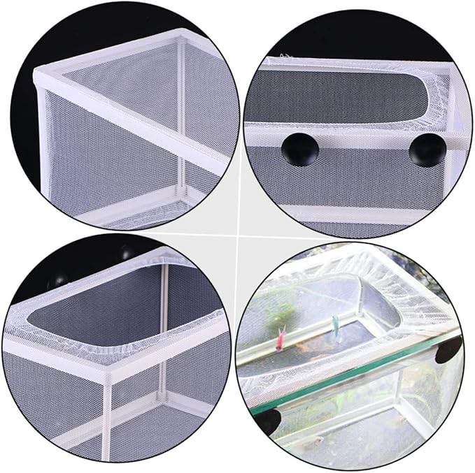 BESPORTBLE 3pcs Fish Tank Isolation Box Net Breeder Box Suction Cup Fish Breeding Divider