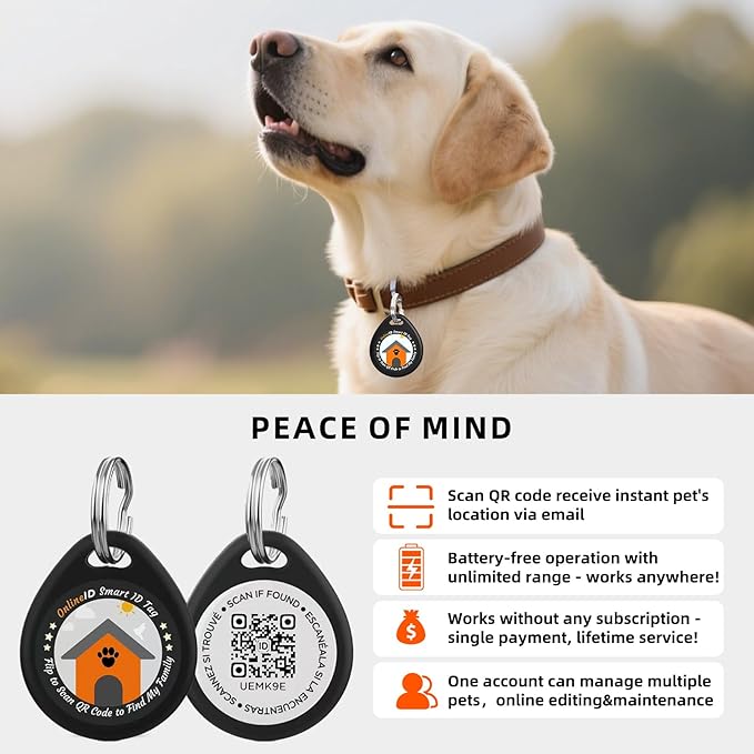 1 Pack Personalized Cat Tags,QR Code Pet ID Tags with Online Profile systerm,Editable Any Names and Phone numbles,Black,S