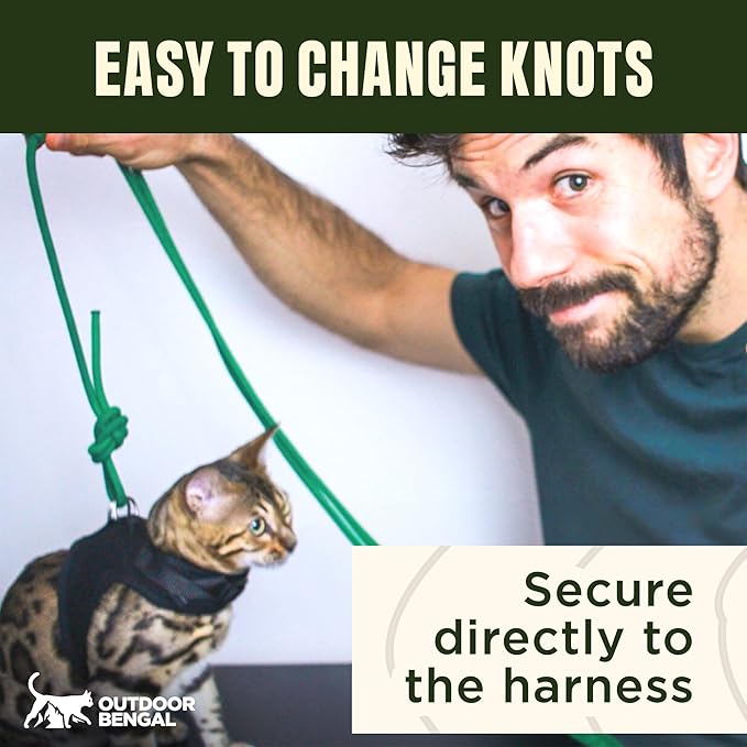 Long Rope Leash for Cats, Small Dogs & Puppies – Heavy Duty, Tangle-Free Lead for Walking, Training & Outdoor Play – Durable Nylon Pet Leash (Green, 10FT)