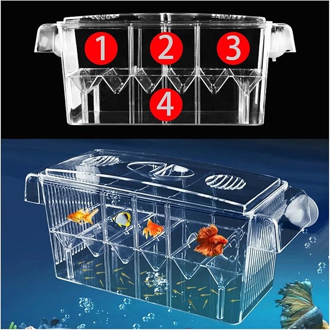 Self-Floating Aquarium Breeding Incubator Isolation Box – Double Layer 4 Rooms Transparent Acrylic Fish Hatchery Box for Fish Tank(4 Rooms)