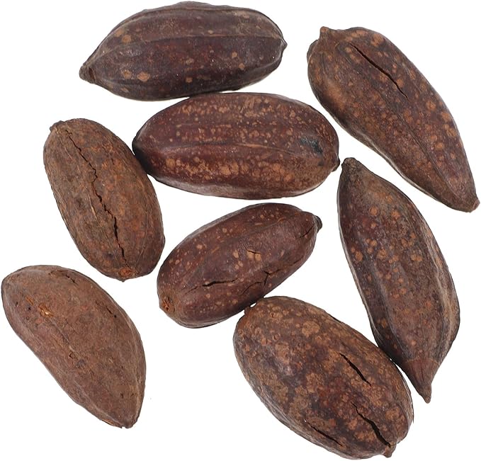 YARNOW 8pcs Natural Dried Fruit Bird Chew for Parakeets Cockatiels Parrot Biting to Mental Health and Prevent Boredom with Unique Shapes and Safe Materials