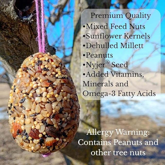 Birdseed Ornaments for Outside - Set of 3 for Wild Birds - Premium Quality - Wild Bird Treats - Egg-Shaped Hanging Birdseed Ornaments