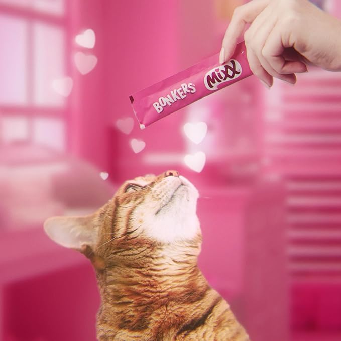 Bonkers Licky Tubes, Wet Lickable Succulent Salmon Flavor Cat Treats, Real Meat, Training or Food Topper, for All Breeds and Ages, Value Pack (15 Pack, 60 Tubes) - Product Package May Vary