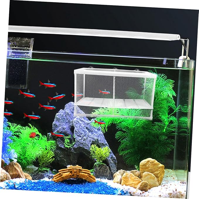 Aquarium Fish Breeding Box with Divider Fish Net for Fry Hatching Durable Separation Net Increases Survival Rate