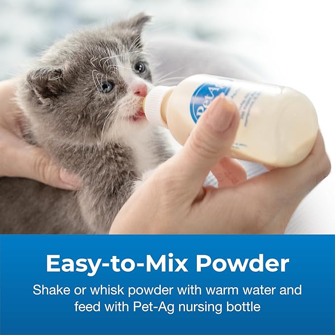 PetAg KMR Kitten Milk Replacer Powder - 6 oz - Powdered Kitten Formula with Prebiotics, Probiotics & Vitamins for Kittens Newborn to Six Weeks Old - Easy to Digest