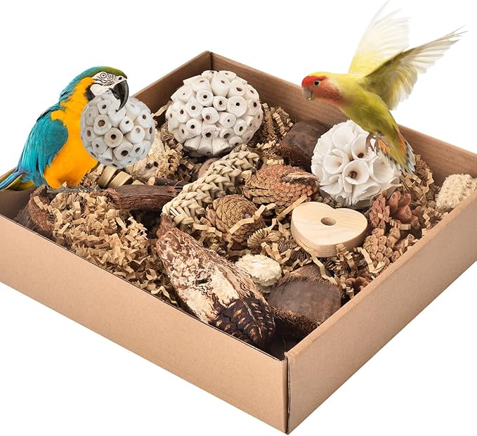 Parrot Toys for Large Bird Toys Natural Bird Foraging Box for Parakeets,Cockatiels,Conures,Love Birds