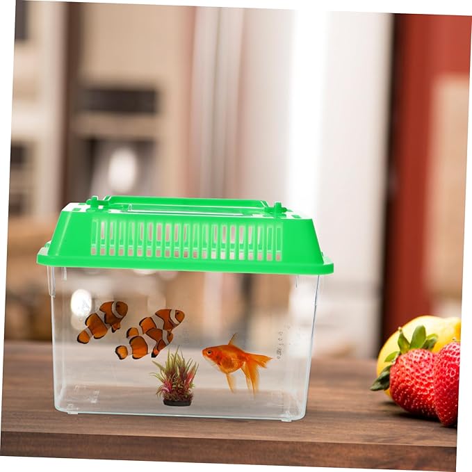 Temporary Fish Tank Handheld Plastic Tank for Goldfish and Turtles Easy to Clean