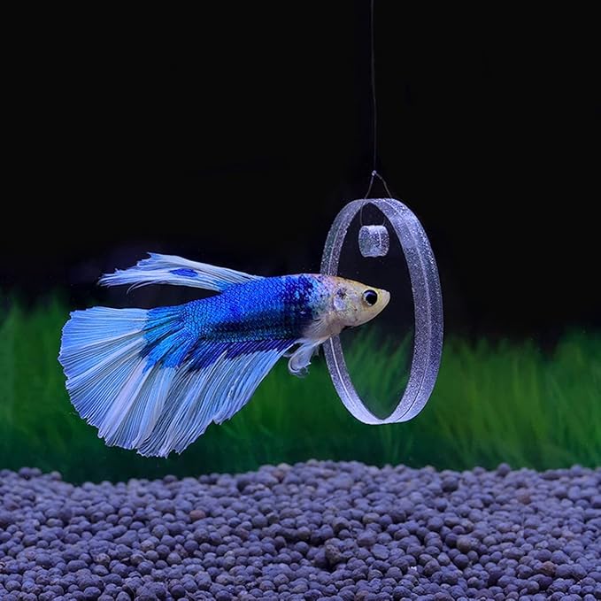 Betta Training Mirror Fish for Tank Fish Antidepressant Work Out Special for Betta Fitness Mirror Betta Toys Mirror Aquarium Decor (4cm)