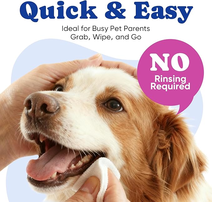 Dog Eye Wipes, Tear Stain Remover for All Dogs & Cats – Hypoallergenic & Deodorizing Eye Wipes for Dogs, Pet Eye Cleaner Wipes with Enzymes for Discharge, Crust, Mucus & Debris, Coconut (100 Ct)