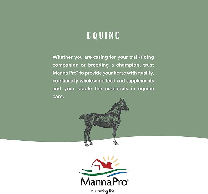 Manna Pro Chicken Feed | 16% Chicken Food with Probiotic Pellets, Layer Feed | 16 lbs (Pack of 2)
