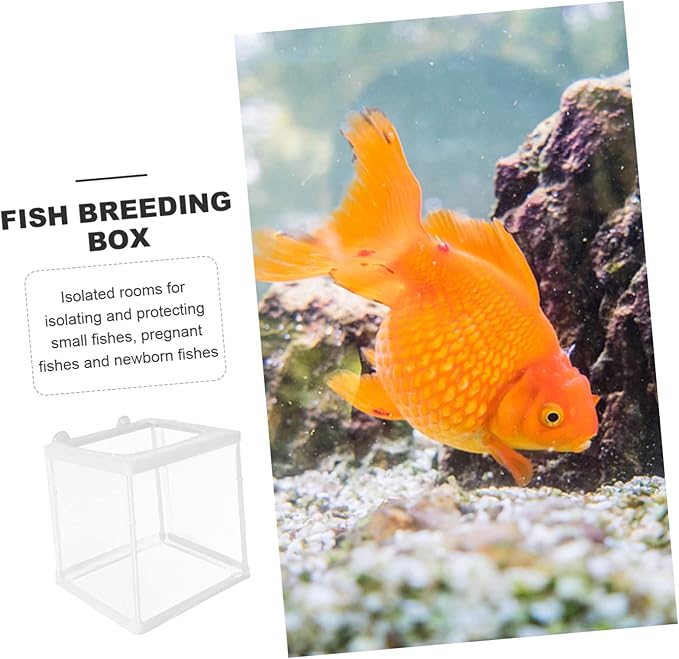 Happyyami Fish Breeder Box Transparent Mesh Isolation Tank for and Fish Easy to Clean Breeding for Aquariums Safe Protection