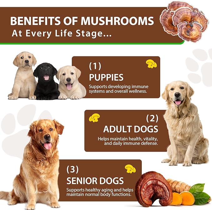 Immune Mushroom Drops for Dogs, Natural Dog Mushroom Liquid Drop with Turkey Tail Mushroom Extract Support Immune Booster, Digestive & Joint Mobility, Liquid Mushroom Supplement - 2 fl oz / 60ml