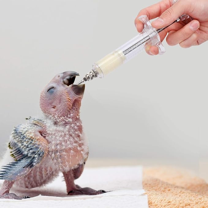 OBANGONG 2 Sets Hand Feeding Syringe for Birds, 20ml & 10ml, Plastic, Non-Sterile, 1 Count