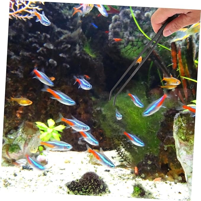 Mipcase 2sets Coral Aquatic Tweezers Clip for Fish Tank Cleaning and Feeding Aquarium Tools Pipette Dropper for Aquatic Waste Removal and