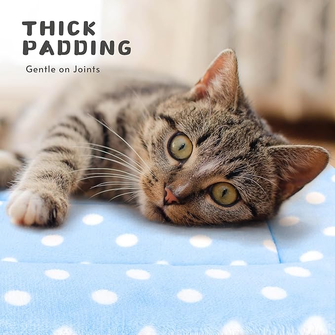 2 Pack Cat Blanket for Indoor Cats Ultra Soft and Warm Calming Cat Bed Fleece Pet Mat for Anxiety and Stress Washable Kitten Blanket