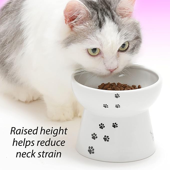 Necoichi Raised Cat Food Bowl – Ceramic Elevated Cat Bowl for Whisker & Neck Fatigue, Dishwasher Microwave Safe – Non-Slip & Anti Vomiting Ergonomic Design (Cats, Large, 2-Cup Capacity)