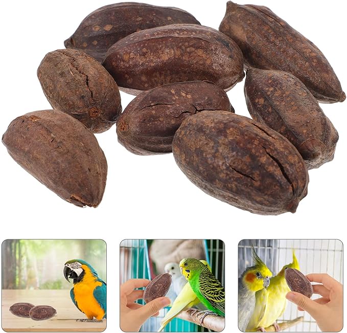 8pcs Natural Dried Fruit Bird Chew for Parakeet Cockatiel Birds Safe Biting Treats for Shredding and Foraging Fun