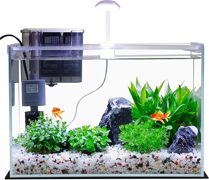 5 Gallon Glass Small Fish Tank with Filter Light and Lid, Betta Aquarium Starter Kits