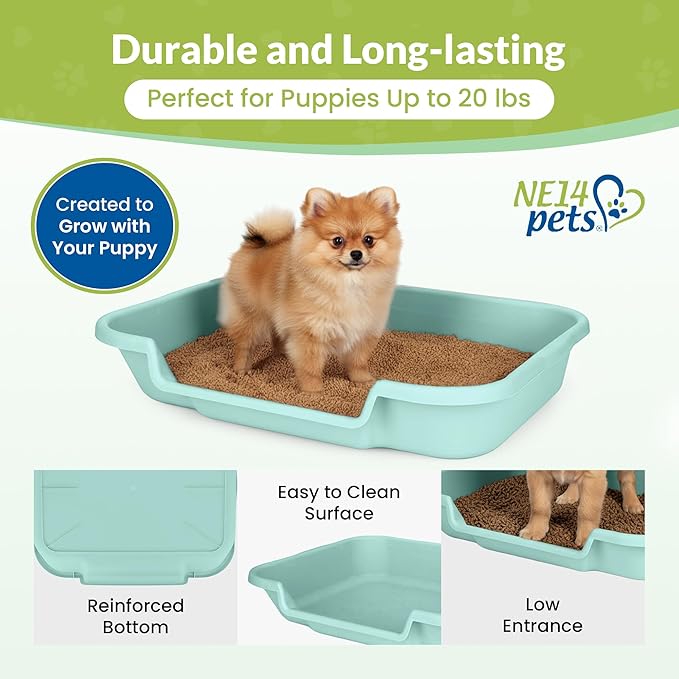 Dog Litter Box, Apple Green Color, Large Size, Durable & Pet Safe Puppy Litter Box, Indoor Open Top Entry Dog Litter Pan, Comfortable for Dogs, Great for Dogs up to 20 lbs (2 Pack)