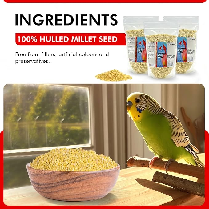 Morning Bird Hulled Millet 4.5 lbs (3-Pack, 1.5 lbs Each) – Nutritious Hulled Millet Seed - Easily Digestible with High Fiber, Rich in Vitamins & Minerals for Birds, Ideal Bird Feed for All Bird Types