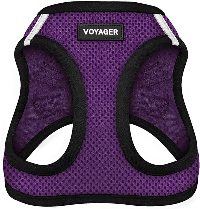 Best Pet Supplies Voyager Step-in Air Harness - All Weather Mesh, Reflective, No Pull Harness for Dogs, Cats - Secure with Hook & Loop Fastener, Buckle, Double D-Rings - Purple/Black Trim, XXS