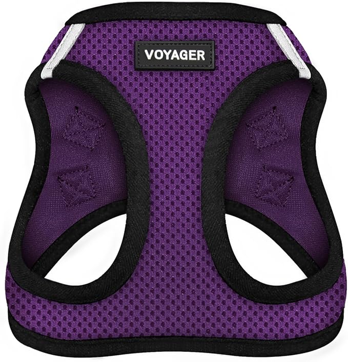 Best Pet Supplies Voyager Step-in Air Harness - All Weather Mesh, Reflective, No Pull Harness for Dogs, Cats - Secure with Hook & Loop Fastener, Buckle, Double D-Rings - Purple/Black Trim, XS