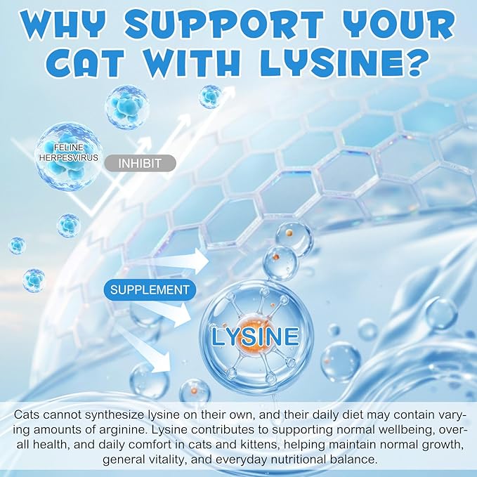 ALIVO L-Lysine for Cats, Immune Support Drops for Feline Respiratory Health, Sneezing & Runny Nose - Chicken Flavor Liquid Supplement for Eye Function & Cat Cold Relief, 60mL x 2