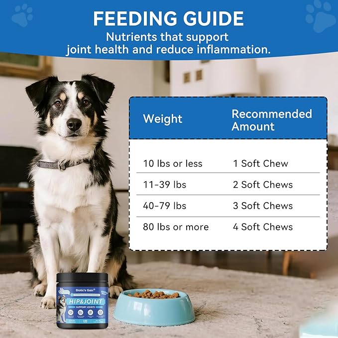 Biotic’s Gain Hip & Joint Soft Chews for Dogs | Glucosamine, MSM, Chondroitin & Turmeric | Hemp Seed Oil for Mobility | Tasty Chews for Senior & Active Dogs (120, Hip & Joint Care)