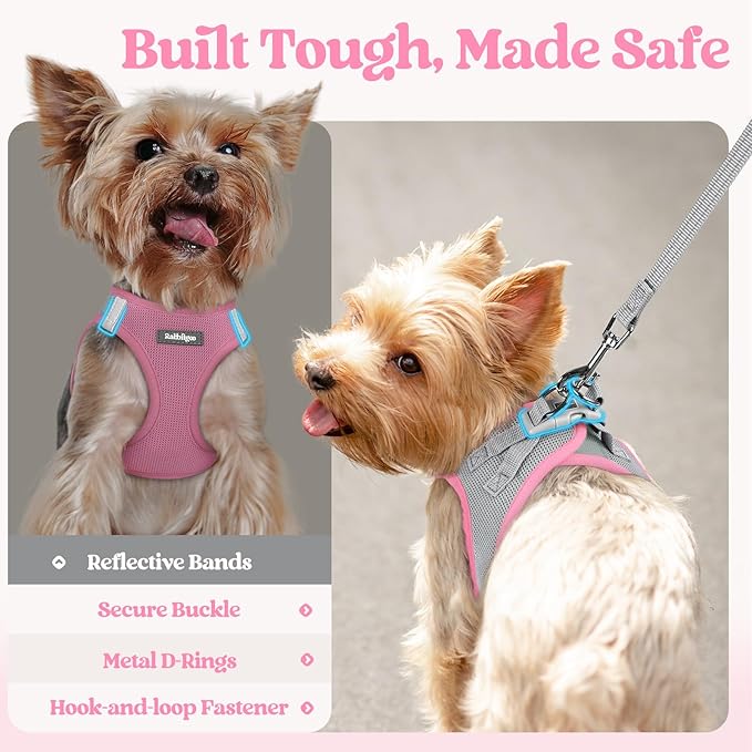 rabbitgoo Dog Harness Small Sized and Leash Set, Step in Soft Light Puppy Vest, Breathable Mesh Pet Harness, Reflective for Safe Easy Walking, Pink & Gray XS