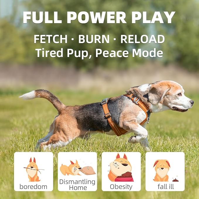 Automatic Dog Ball Launcher-Small Silent Dog Ball Thrower, 3 Adjustable Distances (20ft/33ft/46ft), Rechargable,Includes 3 Durable 2.3" Balls for Small/Medium Dogs (Yellow, Medium)