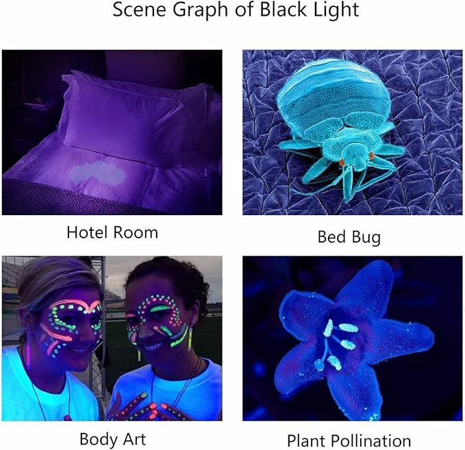 FTVOGUE Flashlight LED Black Light for Pet Urine Detection, Mineral Solidified