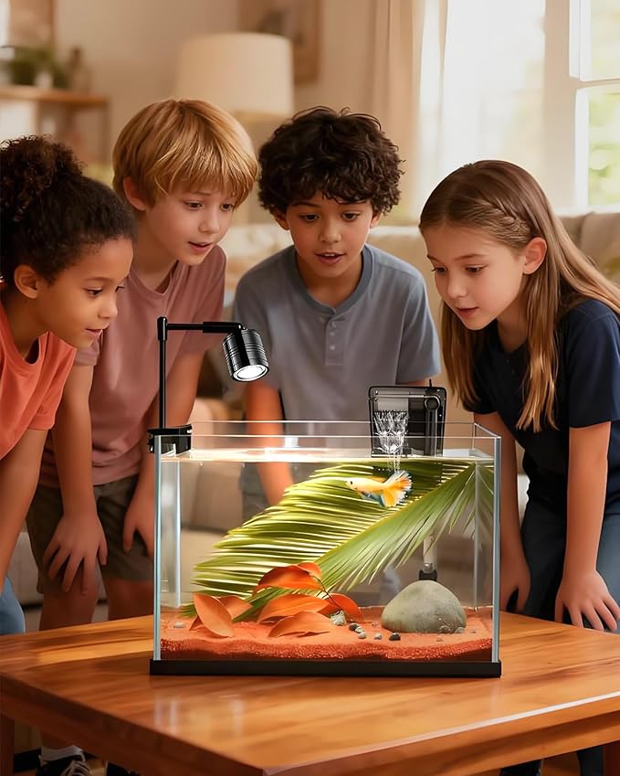 Fish Tank, 3 Gallon Ultra-Clear Glass Fish Aquarium, with Separator Plate for Betta, Fish Tank Starter kit with Filter and Adjustable Led Light, White