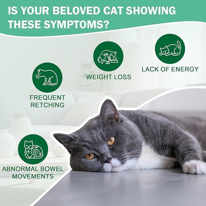 Vomiting Relief for Cats, Cat Vomit Remedy, Digestive Support Drops with Probiotics to Help Reduce Vomiting, Hairballs & Sensitive Stomach, Supports Gut Health, Easy to Mix with Food - 2 FL OZ