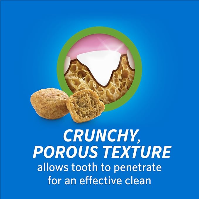 Purina DentaLife Made in USA Facilities Cat Dental Treats, Savory Salmon Flavor - 19 oz. Bag