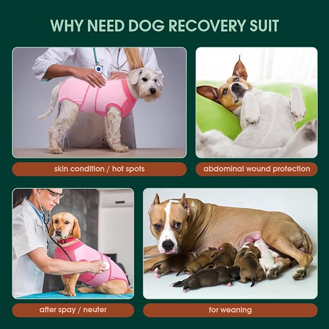 Kuoser Recovery Suit for Dogs, Soft Dog Spay Suit for Female Surgery Recovery, Breathable Dog Neuter Recovery Suit Male, Anti Licking Dog Onesie for Abdominal Wounds Cone Alternatives, Pink M