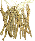 Natural Spray Millet 2lb (Only Edible Tops) Stemless- Non-GMO, Chemical-Free, Hand-Harvested Fresh Treat for Parakeets, Cockatiels, Finches, and Small Pets