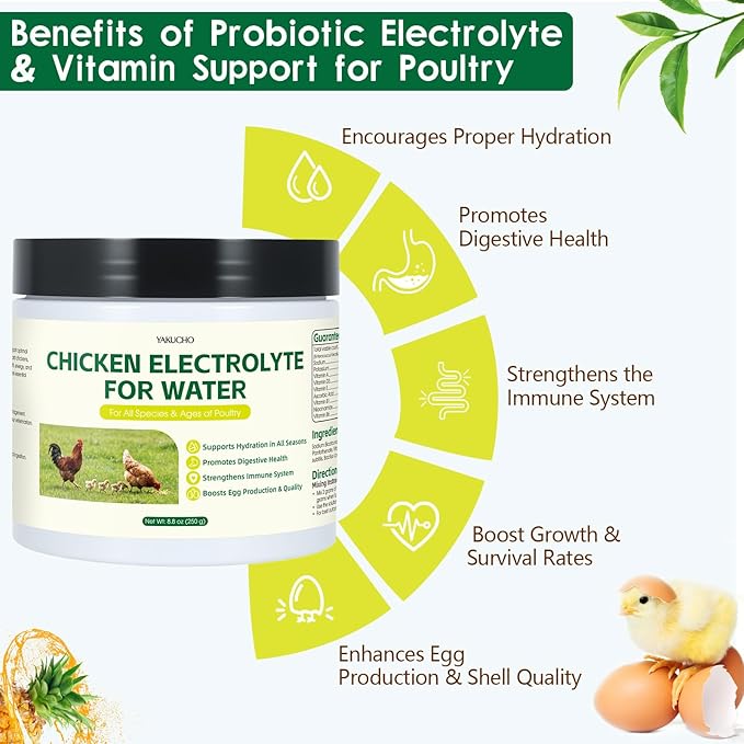 Chicken Electrolytes, Vitamins & Probiotics – Poultry Supplement for Hydration, Immunity & Gut Health – for Chickens, Ducks, Turkeys – 8.8oz Powder – All Ages Formula