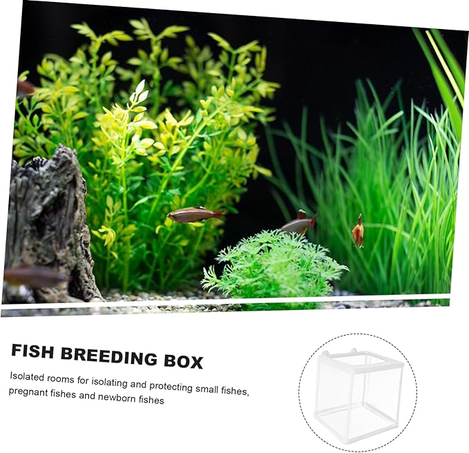Sosoport Fish Breeding Tank Box Incubation Box Mesh Practical Breeding Incubator for Home Aquarium