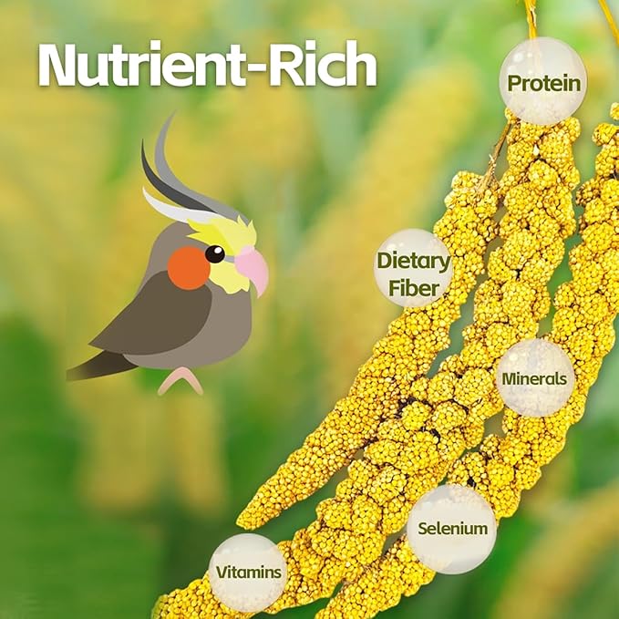 MANON ROSA Spray Millet for Birds - Premium Selenium-Enriched Treats and Chewing Toy, 3.5 Ounce for Parrots Parakeets Lovebirds Finches Budgies Canaries Cockatoos Cockatiels