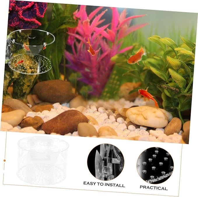 BESPORTBLE Fish Breeder Box Fish Breeding Tank for Isolation Lightweight Portable Aquarium Divider for Betta and Shrimp Easy to Install Design